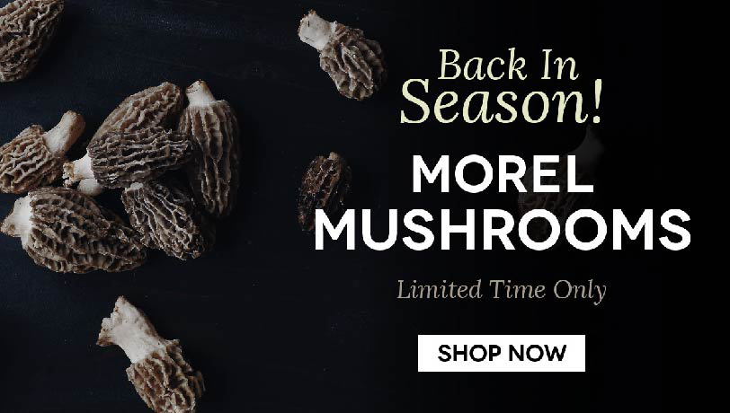 Shop Fresh Morel Mushrooms