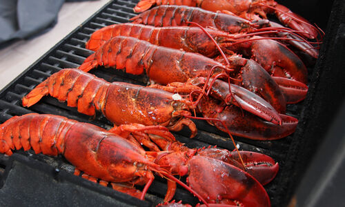 The Science and History Behind Lobsters & Aphrodisiacs