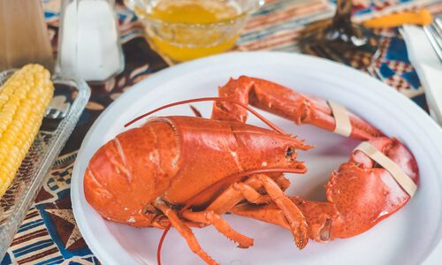 Why Do Millennials Love Lobster Culture?