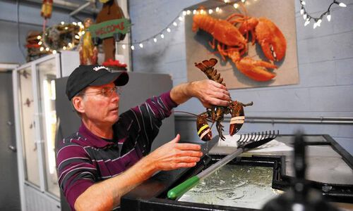 Chicago lobster joints feeling the pinch of price hike