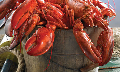 Happy National Lobster Day! Enjoy our fun lobster facts...