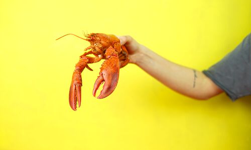 Lobster: Still a Luxury Food or just another “Fish in the Sea”?