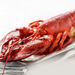 Extra 1-1/4 lb Live Lobster Add-On image number 0