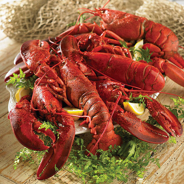 Big Daddy 3-4 lb. Lobster Add-On image number 0
