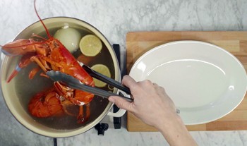 Cooking Live Lobsters