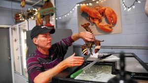 Lobster Gram Founder and Chairman Dan Zawacki pulls a live lobster out of a tank at the company's warehouse on Chicago's North side on Oct. 25, 2016. (Chris Sweda / Chicago Tribune)