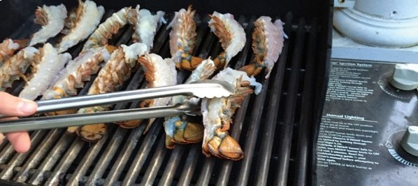 grilling a tails