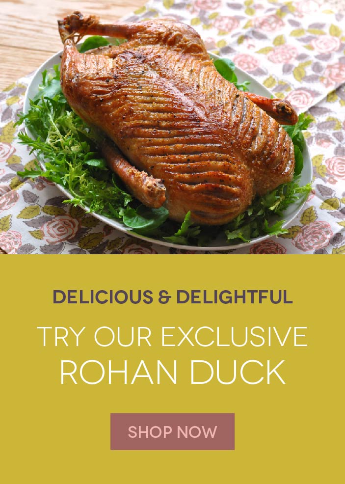 Try Our Exclusive Rohan Duck